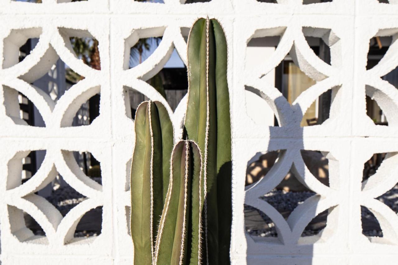 Mid-Century Modern Home In Beautiful La Quinta Kültér fotó